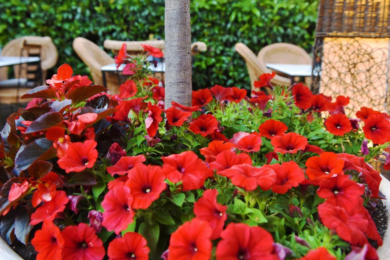 Armata Boutique Hotel Spétses Zewnętrze zdjęcie